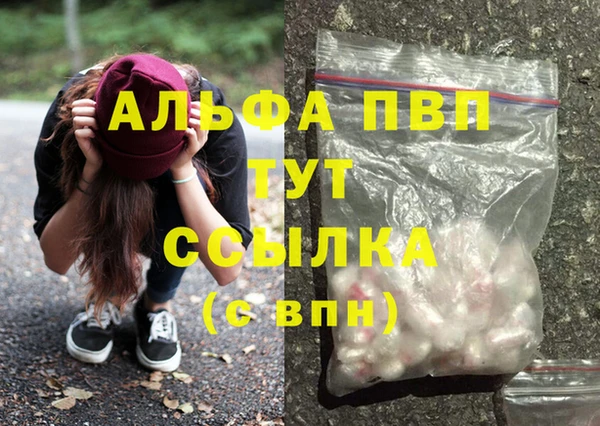 ГАЛЛЮЦИНОГЕННЫЕ ГРИБЫ Пересвет