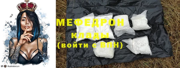 индика Переславль-Залесский