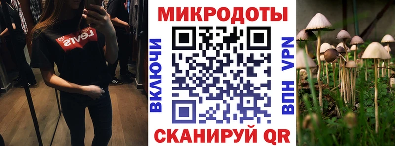 Галлюциногенные грибы Psilocybe Большой Камень