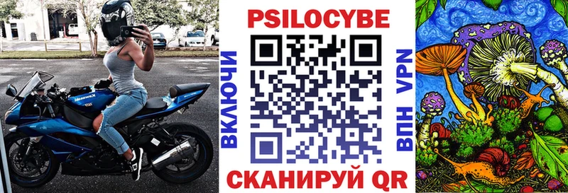 закладка  Большой Камень  Псилоцибиновые грибы GOLDEN TEACHER 