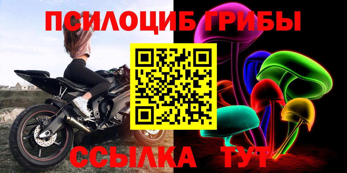 Галлюциногенные грибы Cubensis  Большой Камень 