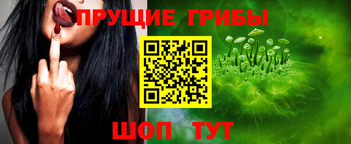 Галлюциногенные грибы мицелий Большой Камень