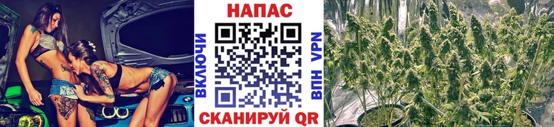 Канабис Amnesia  darknet клад  Большой Камень 