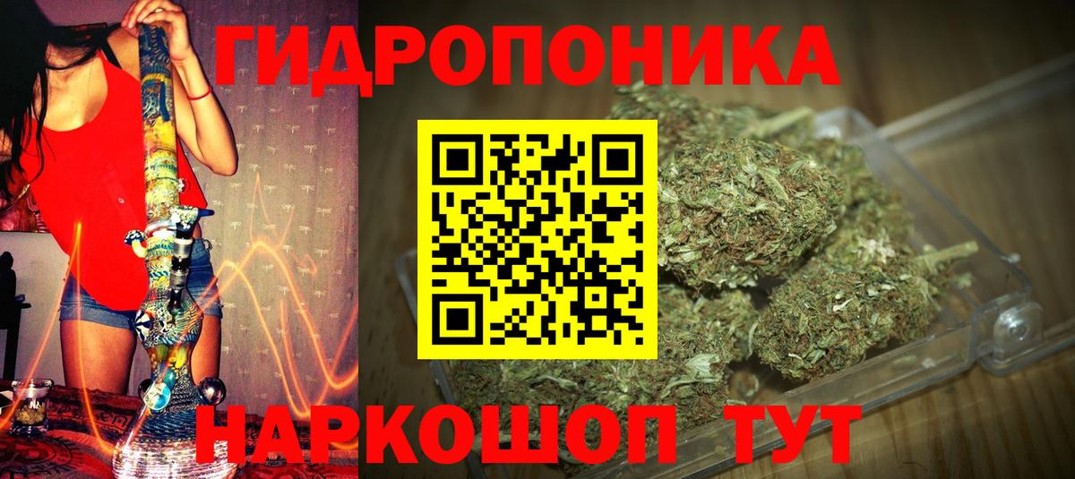 Бошки Шишки VHQ  Шишки марихуана Bruce Banner  МАРИХУАНА семена  Марихуана план  Большой Камень  Вход с VPN 